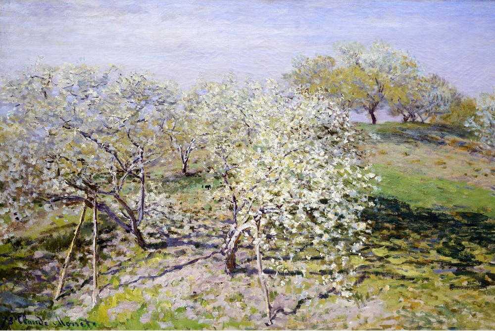 Reprodukce obrazu Claude Monet - Spring