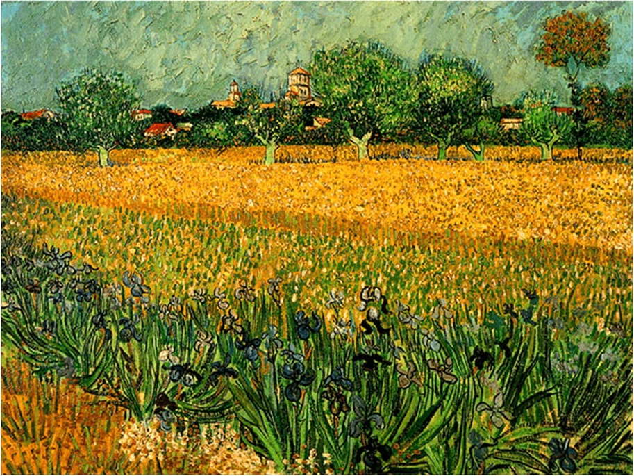 Reprodukce obrazu Vincenta van Gogha - View of arles with irises in the foreground