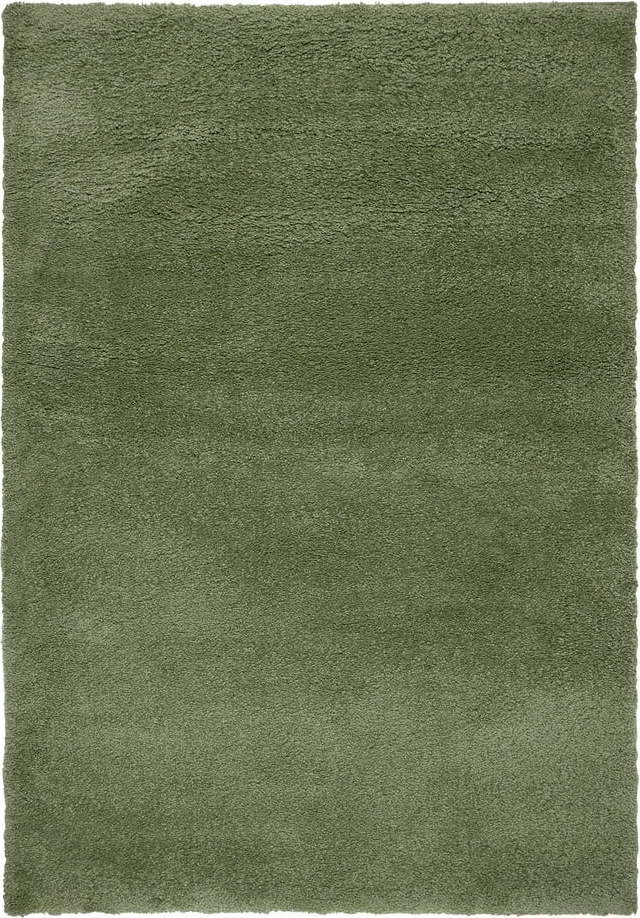 Zelený koberec 120x170 cm – Flair Rugs Flair Rugs