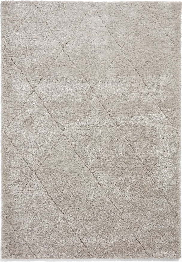 Světle šedý koberec 200x290 cm Ideal Shaggy – Think Rugs Think Rugs