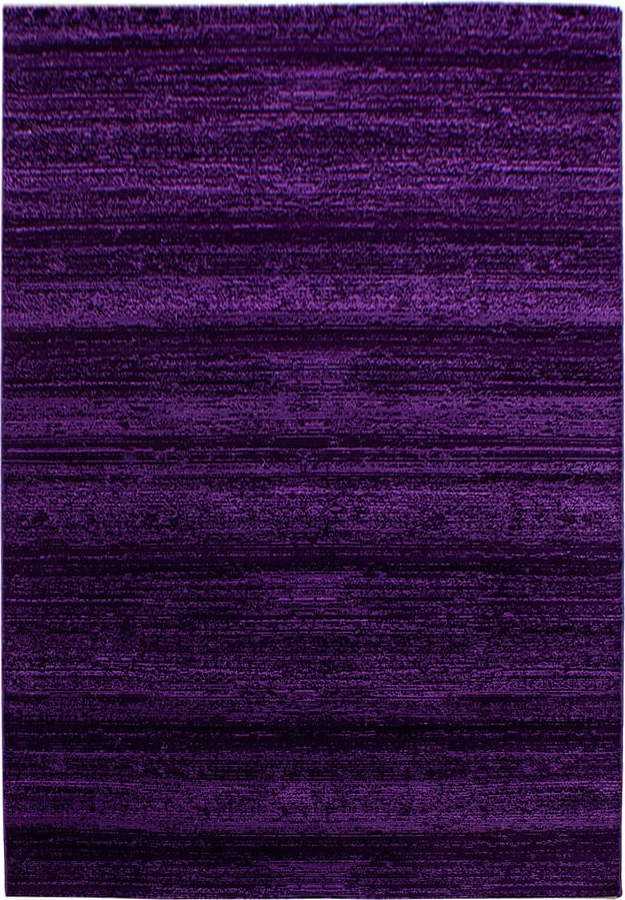 Tmavě fialový koberec 120x170 cm Plus – Ayyildiz Carpets Ayyildiz Carpets